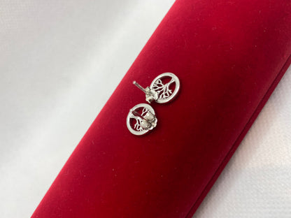 Clous d'oreilles en argent sterling 925